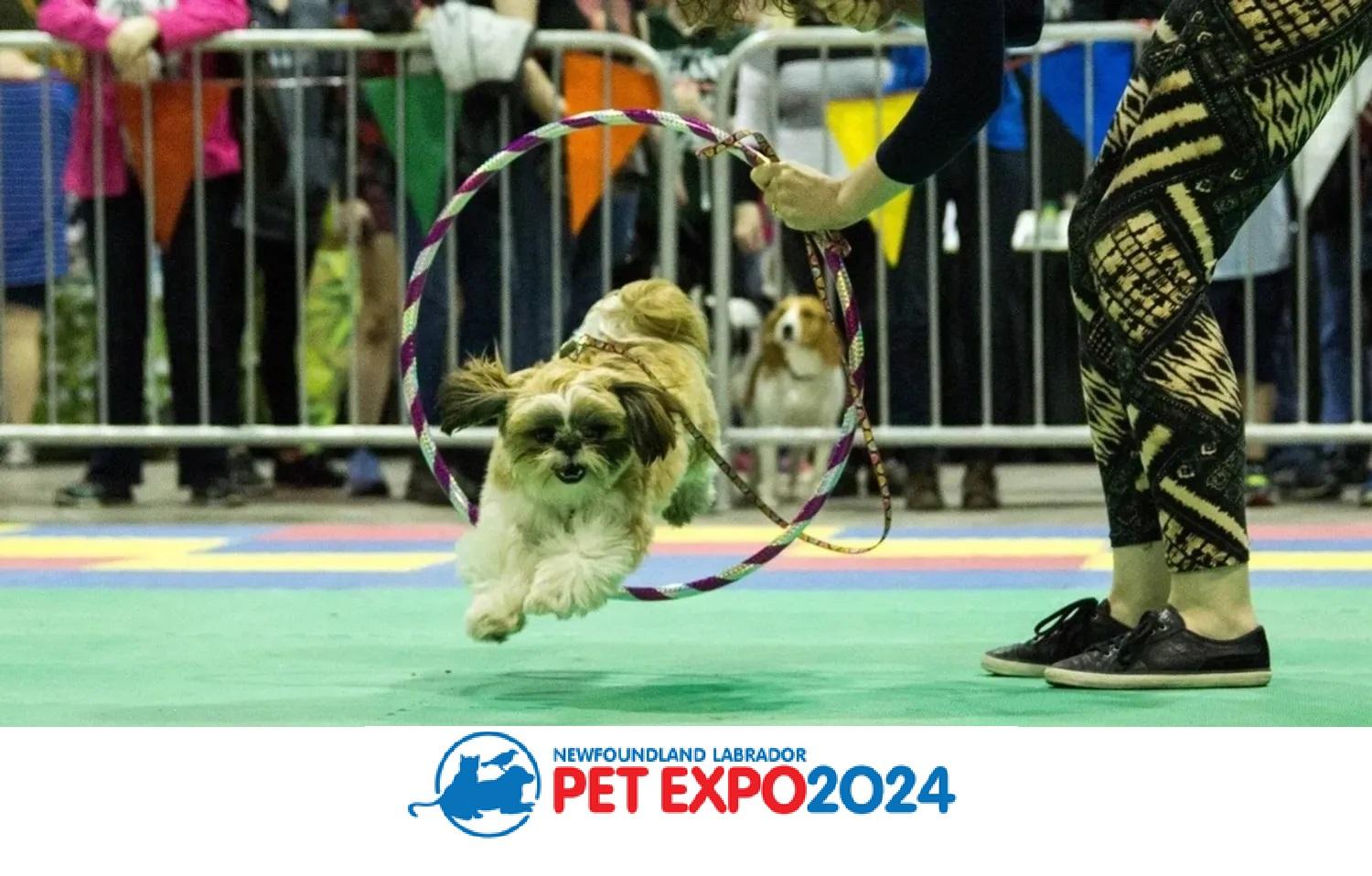 Visit Ropewalk Lane in St. John's Pet Supplies & Services Near You!